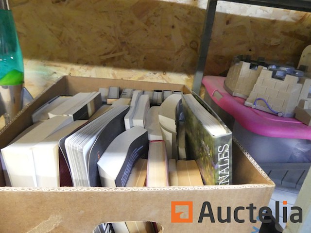 Diverse decoratie en karton met boeken - afbeelding 4 van  11