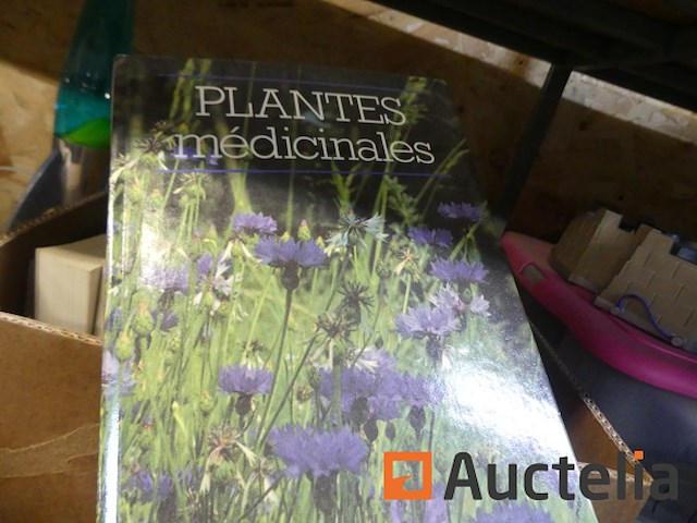 Diverse decoratie en karton met boeken - afbeelding 6 van  11