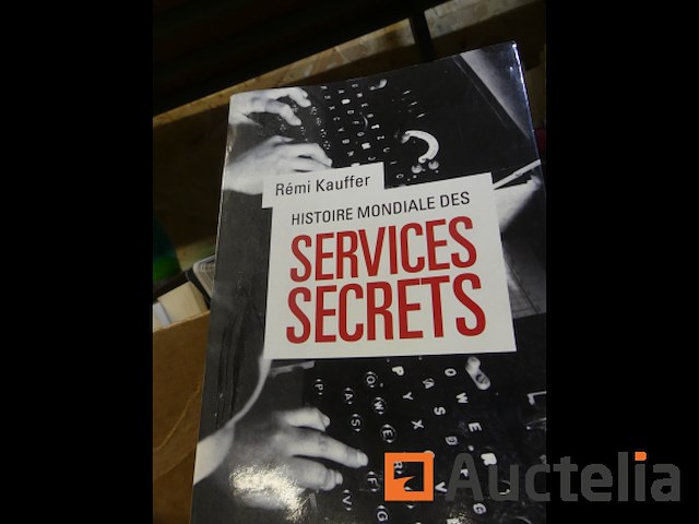 Diverse decoratie en karton met boeken - afbeelding 7 van  11