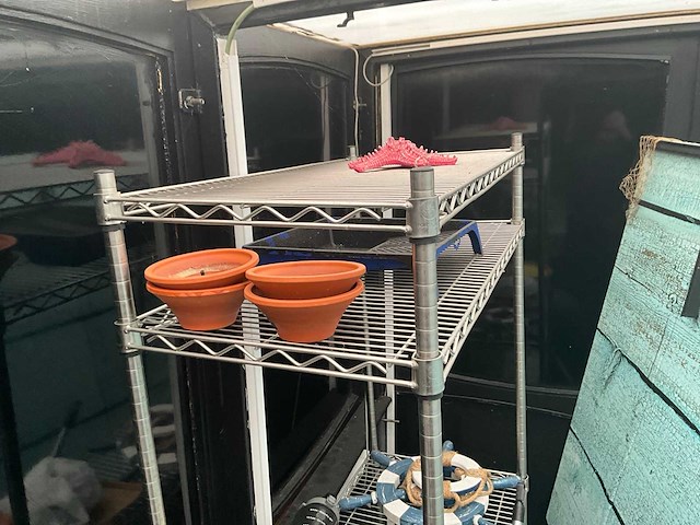 Diverse decoratie - afbeelding 7 van  9