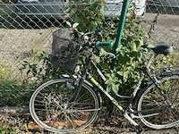 Diverse fietsen (3x) - afbeelding 6 van  11