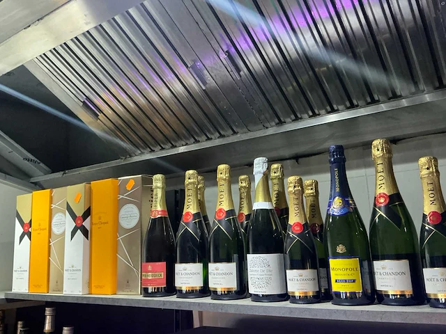 Diverse flessen champagne (15x) - afbeelding 1 van  3