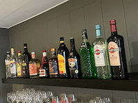 Diverse flessen geestrijke drank (11x)