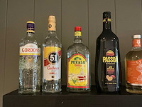 Diverse flessen geestrijke drank (11x) - afbeelding 2 van  2