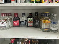 Diverse geestrijke dranken (155x) - afbeelding 2 van  4