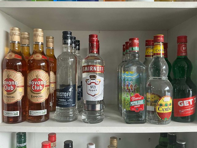 Diverse geestrijke dranken (211x) - afbeelding 2 van  13