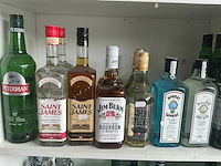 Diverse geestrijke dranken (211x) - afbeelding 3 van  13