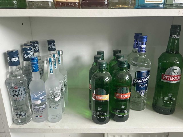 Diverse geestrijke dranken (211x) - afbeelding 4 van  13