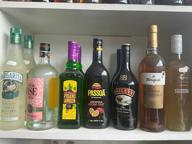 Diverse geestrijke dranken (211x) - afbeelding 6 van  13