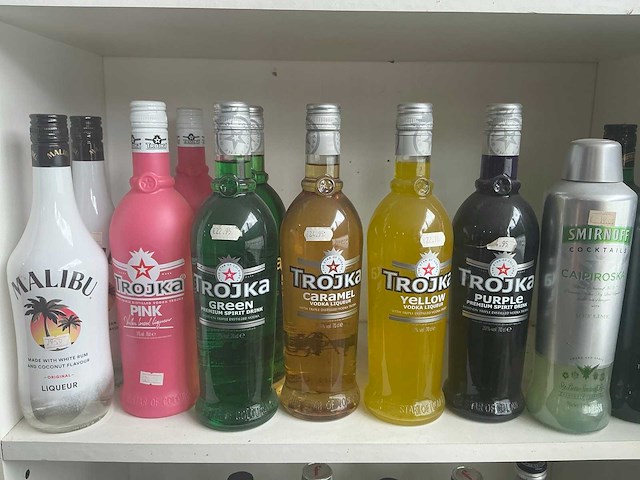 Diverse geestrijke dranken (211x) - afbeelding 7 van  13