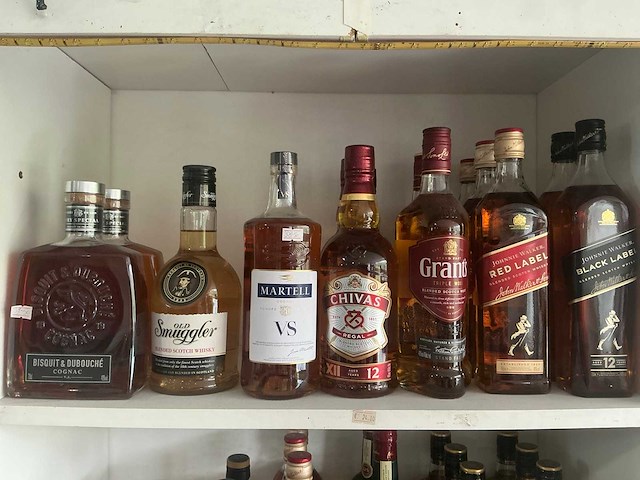 Diverse geestrijke dranken (211x) - afbeelding 1 van  13