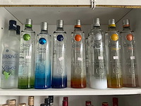 Diverse geestrijke dranken (211x) - afbeelding 9 van  13
