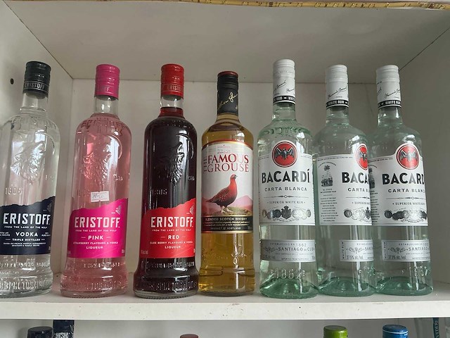 Diverse geestrijke dranken (211x) - afbeelding 11 van  13