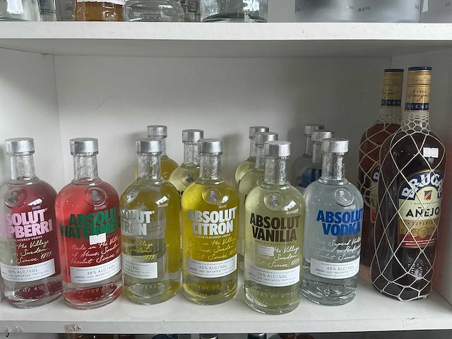 Diverse geestrijke dranken (211x) - afbeelding 12 van  13