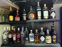 Diverse geestrijke dranken (43x) - afbeelding 1 van  4