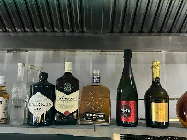 Diverse geestrijke dranken (43x) - afbeelding 3 van  4
