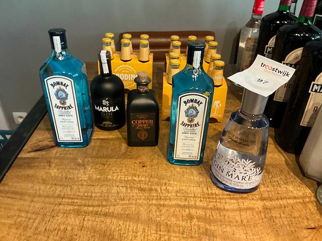 Diverse gin (5x) - afbeelding 1 van  4
