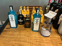 Diverse gin (5x) - afbeelding 1 van  4