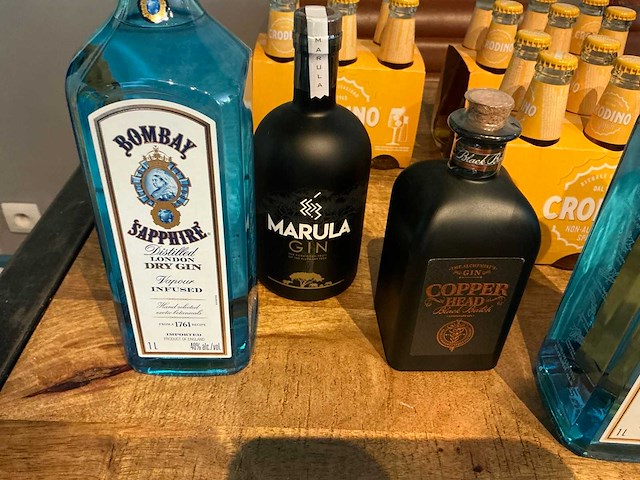 Diverse gin (5x) - afbeelding 2 van  4