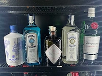 Diverse gin (6x)
