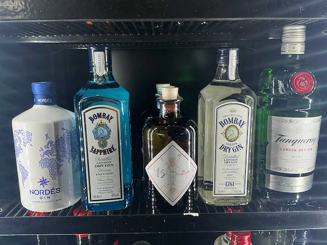 Diverse gin (6x) - afbeelding 1 van  1
