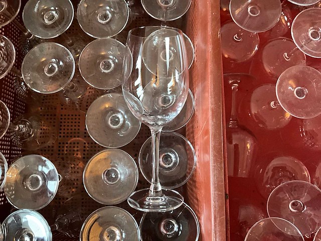 Diverse glazen (250x) - afbeelding 6 van  11