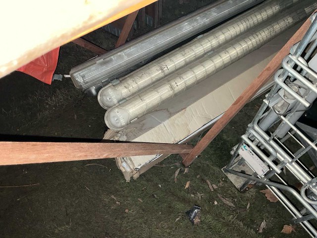 Diverse halogeen - afbeelding 8 van  16