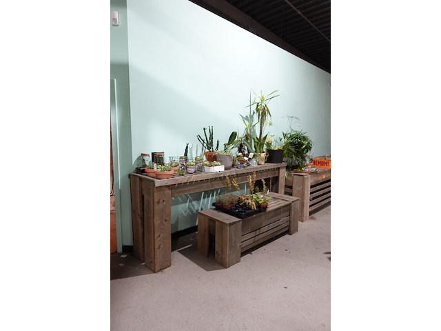 Diverse houten presentatiemeubelen - afbeelding 1 van  6