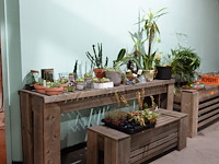 Diverse houten presentatiemeubelen - afbeelding 1 van  6