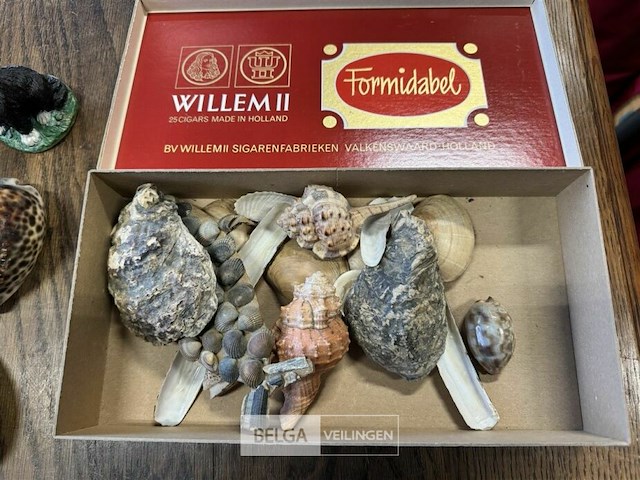 Diverse huisdeco - afbeelding 2 van  3