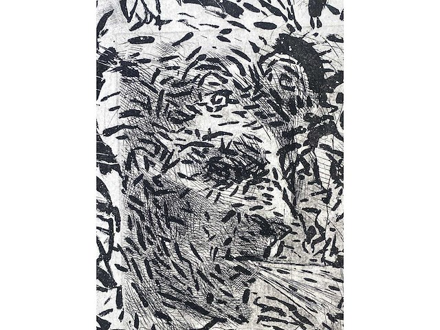 Diverse kunstenaars - lot van 10 prints - diverse technieken - afbeelding 28 van  38