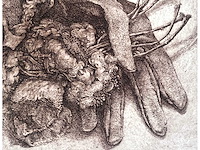 Diverse kunstenaars - lot van 10 prints - diverse technieken - afbeelding 31 van  38