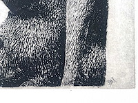 Diverse kunstenaars - lot van 10 prints - diverse technieken - afbeelding 23 van  38