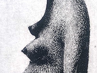 Diverse kunstenaars - lot van 10 prints - diverse technieken - afbeelding 34 van  38