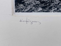 Diverse kunstenaars - lot van 10 prints - diverse technieken - afbeelding 2 van  42