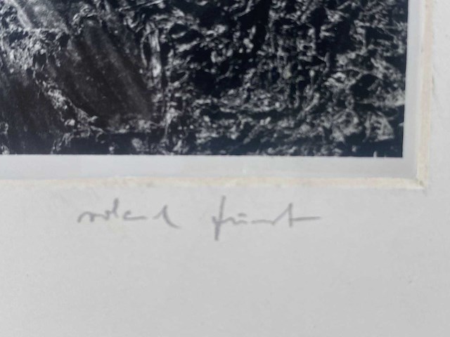 Diverse kunstenaars - lot van 10 prints - diverse technieken - afbeelding 3 van  42