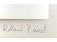 Diverse kunstenaars - lot van 10 prints - diverse technieken - afbeelding 4 van  42