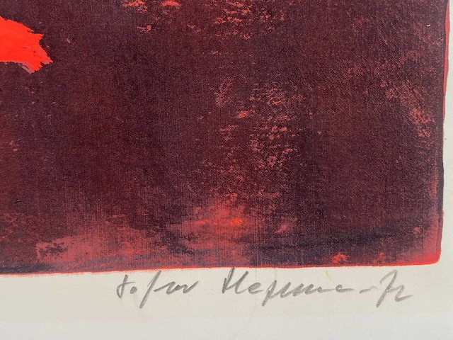 Diverse kunstenaars - lot van 10 prints - diverse technieken - afbeelding 10 van  42