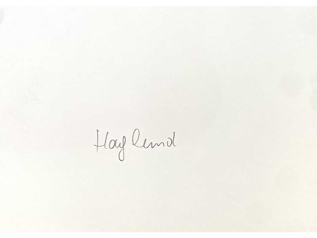 Diverse kunstenaars - lot van 10 prints - diverse technieken - afbeelding 25 van  42