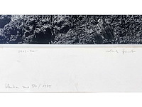 Diverse kunstenaars - lot van 10 prints - diverse technieken - afbeelding 42 van  42