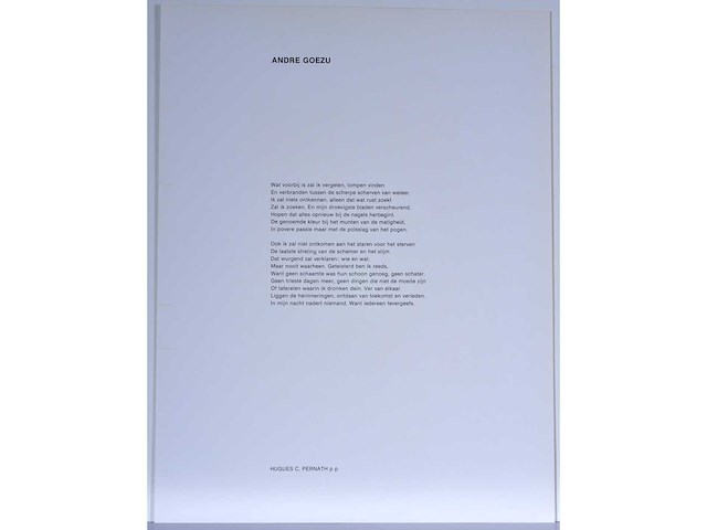 Diverse kunstenaars - lot van 6 zeefdrukken: burssens/ goezu / hoenraet... - afbeelding 38 van  41