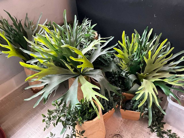 Diverse kunstplanten (12x) - afbeelding 1 van  4