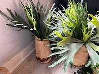 Diverse kunstplanten (12x) - afbeelding 3 van  4