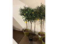 Diverse kunstplanten (4x) - afbeelding 2 van  3