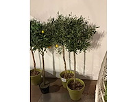 Diverse kunstplanten (4x) - afbeelding 3 van  3