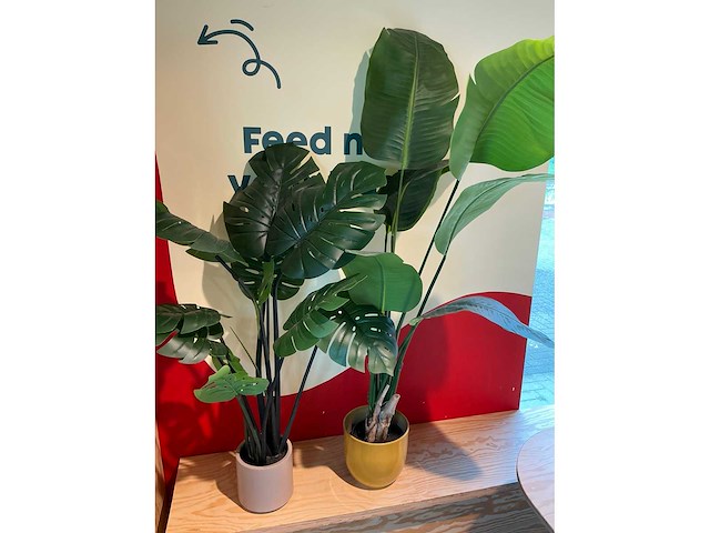 Diverse kunststof kamerplanten (2x) - afbeelding 2 van  2