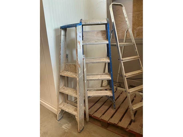 Diverse ladder (3x) - afbeelding 4 van  5