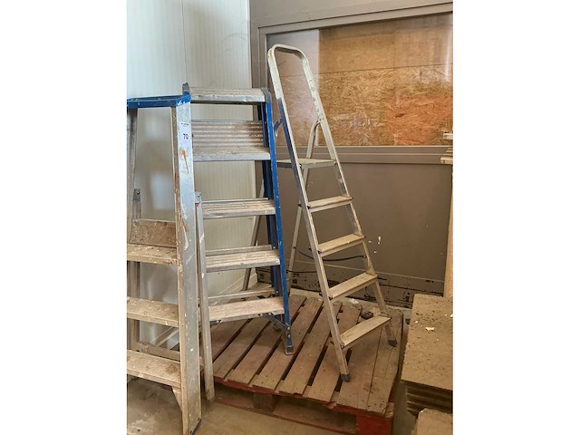 Diverse ladder (3x) - afbeelding 5 van  5