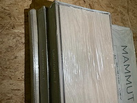 Diverse laminaat (7 pakketten) - afbeelding 8 van  11