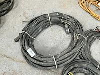 Diverse lastoortsen (3x) - afbeelding 4 van  6